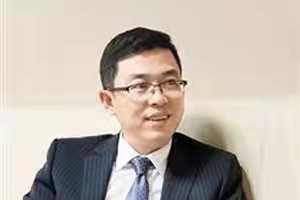 陈卫平
